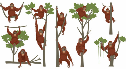 A collection of illustrations depicting orangutans interacting with trees and vines © Faisal