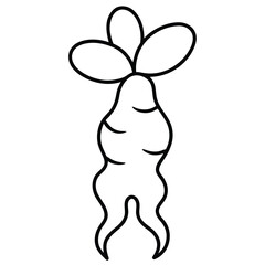 ginger root vector line art icon