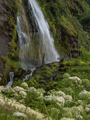 Fototapeta premium the waterfall Seljalandsfoss in Iceland