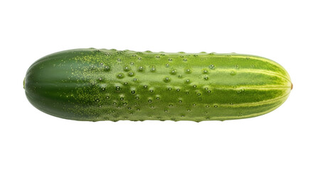 Isolated fresh green cucumber, whole vegetable, edible food ingredient, vegetarian diet