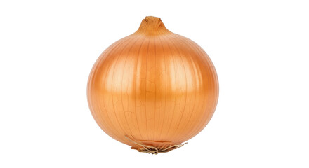 Isolated golden onion still life close up, ready for cooking or adding to salad for flavor