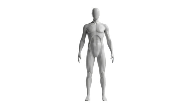 Isolated male mannequin, rendering of a human form representing a body shape standard