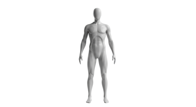 Isolated male mannequin, rendering of a human form representing a body shape standard