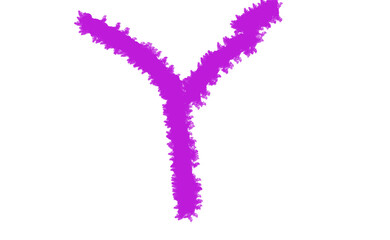 Vibrant magenta y shape abstract form energetic brushstrokes artistic organic flow Cloud, fog, Alfabet