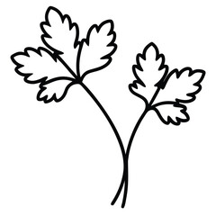 parsley vector line art icon