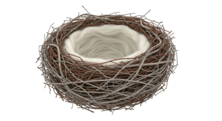 Isolated woven bird nest made of twigs and lined with soft material, ready for baby birds