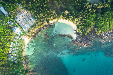 Tropical beach with coconut palm tree and crystal clear ocean. Summer vacation in tropical paradise concept