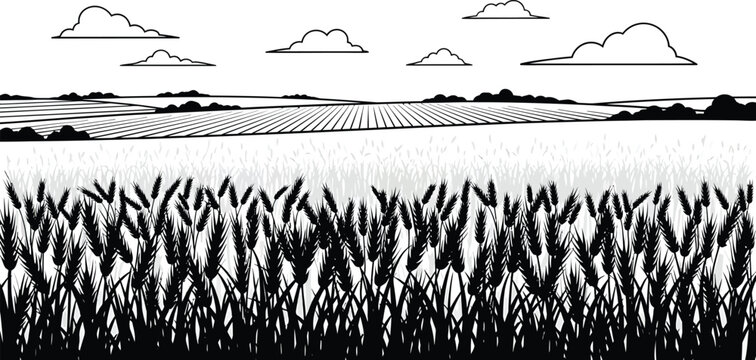 Vector art of black and white illustration of a wheat field under a cloudy sky, with rolling hills in the background