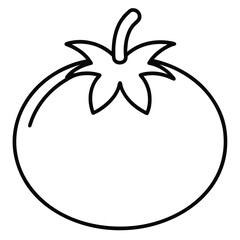 roma tomato vector line art icon