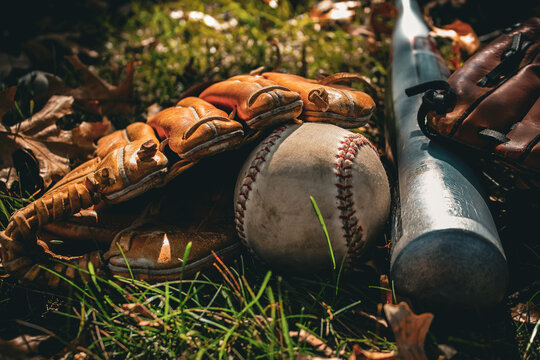a baseball and baseball equipment, including a glove and a bat, resting on grass and fallen leaves. sports and recreation design background or banner. - Powered by Adobe