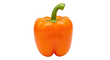 Isolated orange bell pepper with stem, a single capsicum fruit, rich in vitamins, raw food