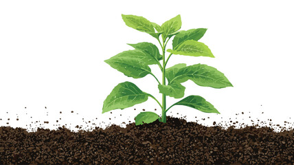 Vibrant Young Sprout Growing in Lush Rich Soil - Nature Scene Vector Illustration