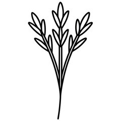 thyme bunch vector line art icon