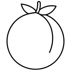 tropical fruit  vector line art icon