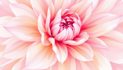 Delicate Pink Flower with Soft Petals and Elegant Blooming Layers