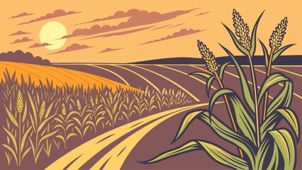 Vector illustration of evening sunrise over a cornfield filled with ripening corn ears.