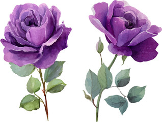 Fototapeta premium bouquet of pink roses