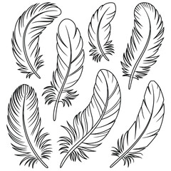 Obraz premium Elegant seamless pattern with vector feathers and quill pen illustration for a vintage design set