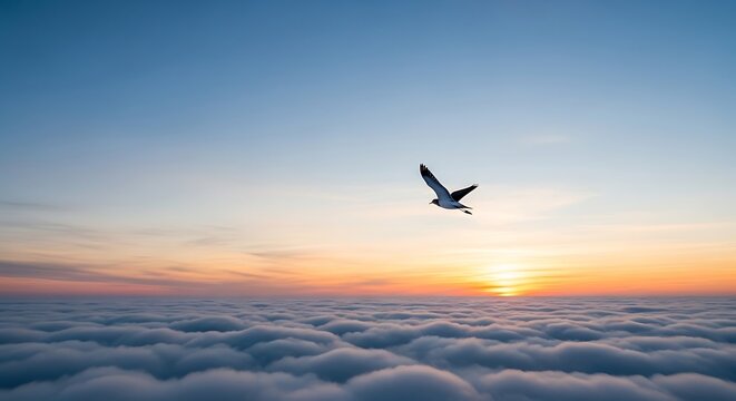 Bird flying above the clouds at sunset against a colorful sky