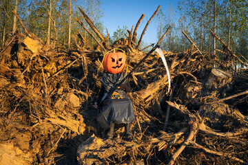 halloween monster pumpkinhead in forest at dusk with a scythe in galician samain or ireland samahin fest ,  real photograph
