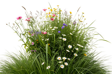 Bunch of Wildflowers with Green Grass