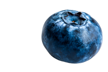 Extreme close-up of a single ripe blueberry with textured skin