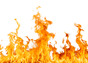 Vibrant flame with abstract swirling orange shapes against a white background