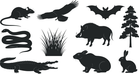 Silhouette, wildlife, animals, bird, bat, rat, snake, boar, crocodile, rabbit, capybara, tree, grass, nature, forest, ecosystem, mammal, reptile, flying, sitting, vector, illustration