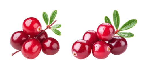 Vibrant fresh cranberry cluster, glistening water droplets, bright red berry on branch, healthy food ingredient, isolated on black background PNG set with transparent background