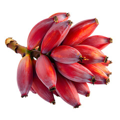 Vibrant Tropical Red Bananas on White Background for Creative Designs