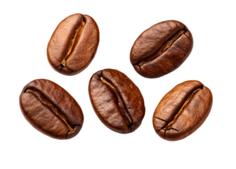 Five rich brown roasted coffee beans arranged on a white surface
