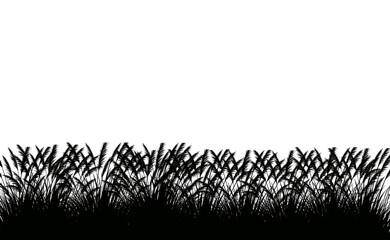 Close-up of a red rose petal with dew drops showcasing intricate texture and delicate beauty