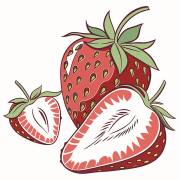  oso grande strawberry on white background 