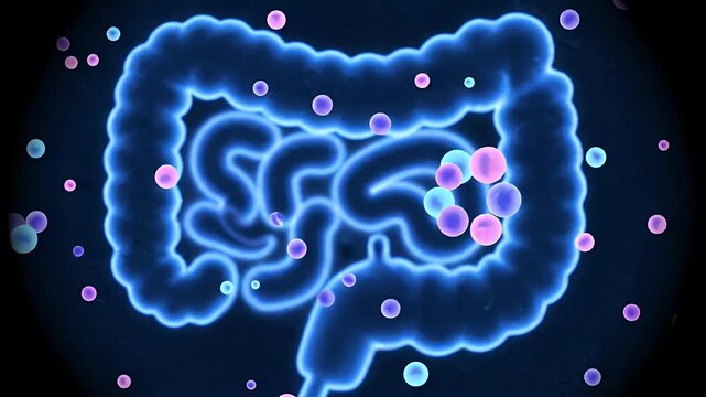 Animated illustration of human intestine and abstract molecules