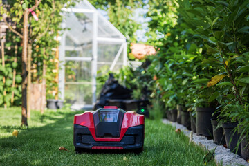 Autonomous red robotic lawn mower cutting grass in sunny garden near shed. Modern smart gardening...