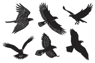 Silhouette eagle flying vector illustration, bird of prey in flight, falcon hawk condor eagle isolated art