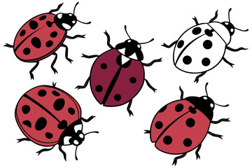 Naklejka premium Ladybug vector illustration with red ladybugs and black spots insect beetle bug nature animal design drawing art silhouette