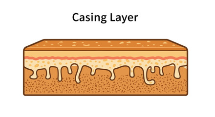 Detailed Illustration of a Casing Layer with Distinctive Textures and Layers