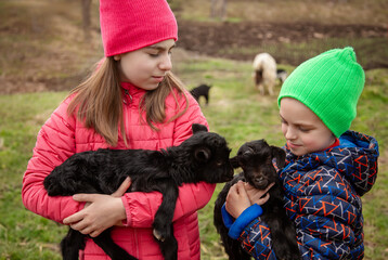Joyful boy and smiling girl holding black goats on the farm. Rural lifestyle, childhood and animal care in the countryside. Happy childhood.