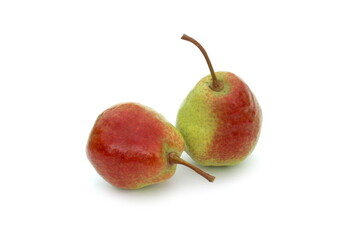 There are two pears on a white background.