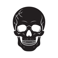 Obraz premium Black and white illustration of a human skull with detailed cracks and bone structure