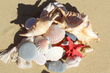 Obraz premium There are many sea shells and stones on the yellow sand.