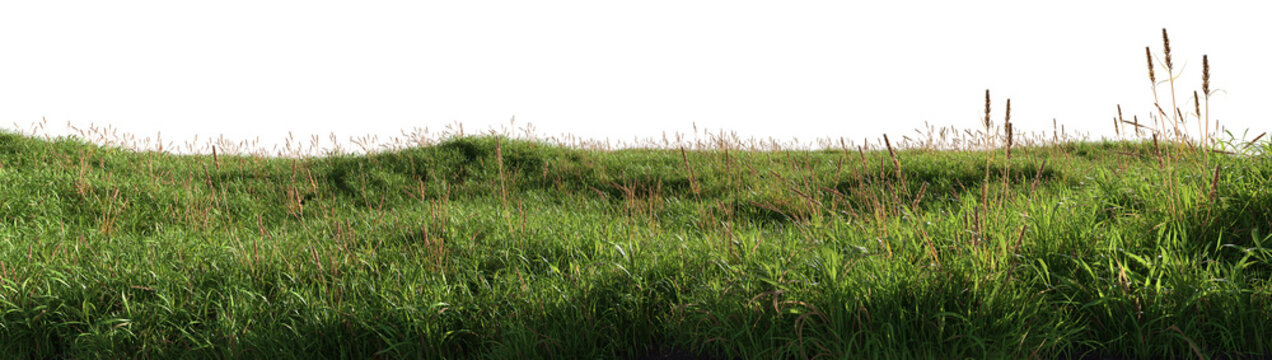 3d render of a green grass field, isolated over transparent background, PNG cut-out	