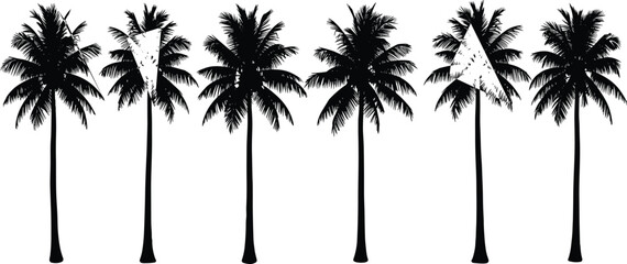Fototapeta premium Palm tree silhouette set featuring tropical shapes and frond variations for botanical, beach, nature-themed, and vector illustration design