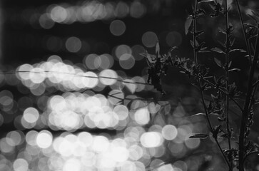 abstract background with bokeh