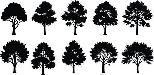 Tree silhouette set featuring diverse canopy structures and trunk styles for botanical, landscape, nature-themed, and vector illustration design