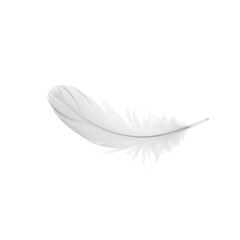Obraz premium Single White Feather Floating Isolated on Pure White Background - Softness and Freedom