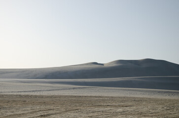 Desert Safari