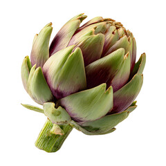 Fresh Isolated Artichoke on Transparent Background for Graphic Design Projects