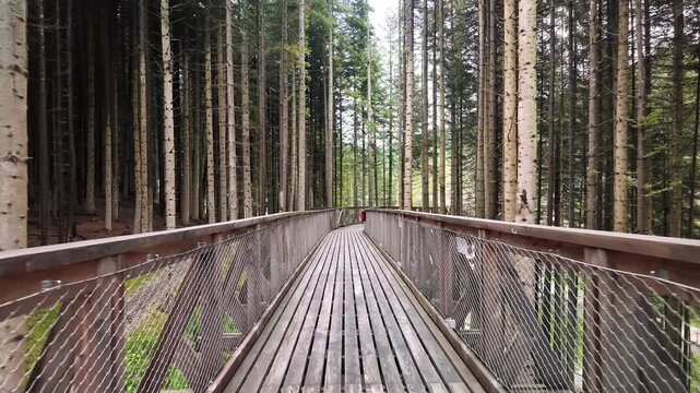 A long wooden path stretches through a dense pine forest, inviting visitors to enjoy outdoor adventure and eco tourism. Perfect concept for hiking, travel, and peaceful forest exploration.